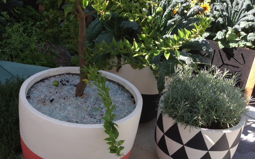 Clear Crushed Glass for Landscaping from Schneppa Glass