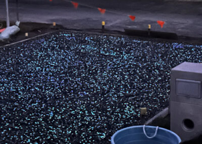 Exposed Aggregate Driveway