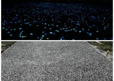 Glow in the Dark Driveway 2