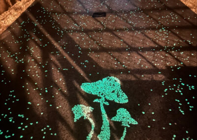 Glow in the Dark stones