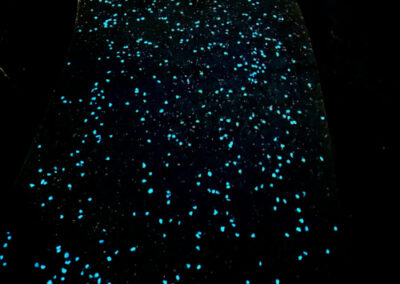 Glow in the dark stone pathway