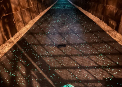 Glow in the Dark pathway