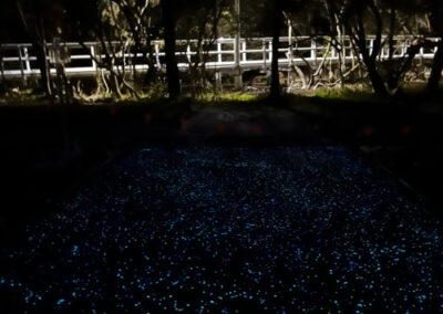 PolyGlow Driveway