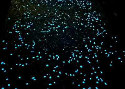 blue glow pebbles