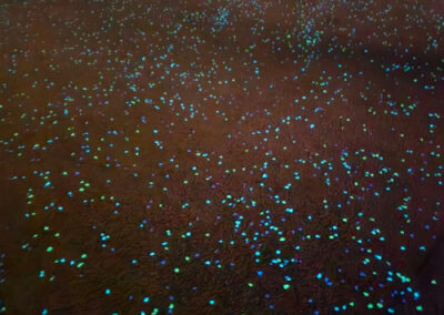 concrete pool surround 2